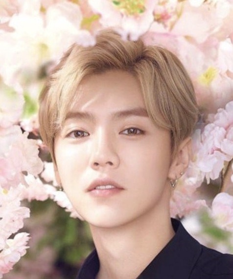 Lu Han