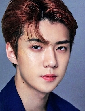 Oh Se Hun